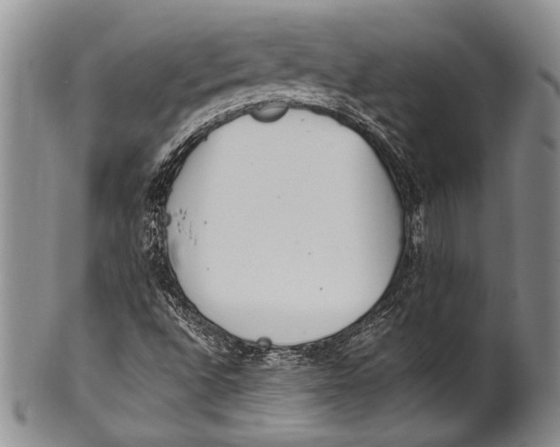 X0000100341496200806261314