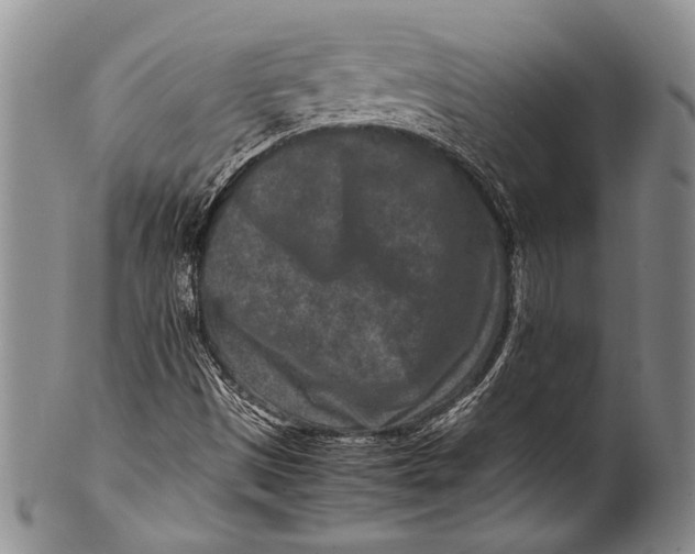 X0000100341497200806261314