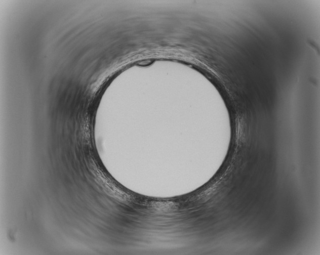 X0000100341498200806261314