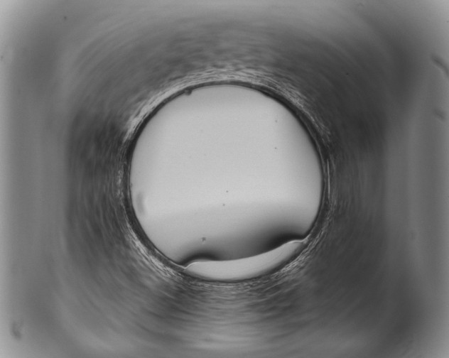 X0000100341500200806261314