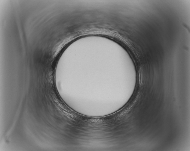 X0000100341501200806261314