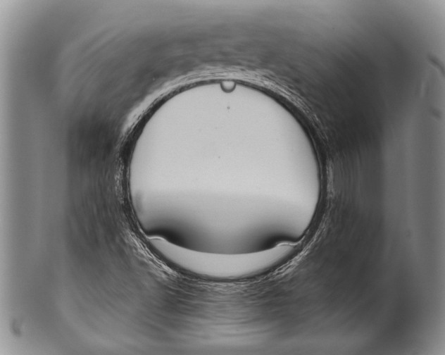 X0000100341502200806261314