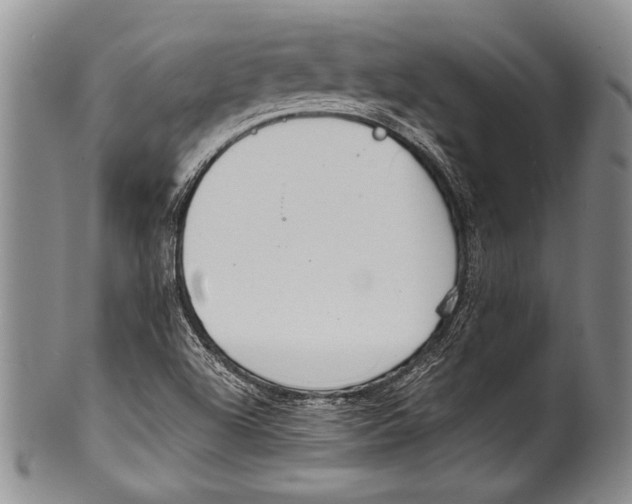 X0000100341504200806261314