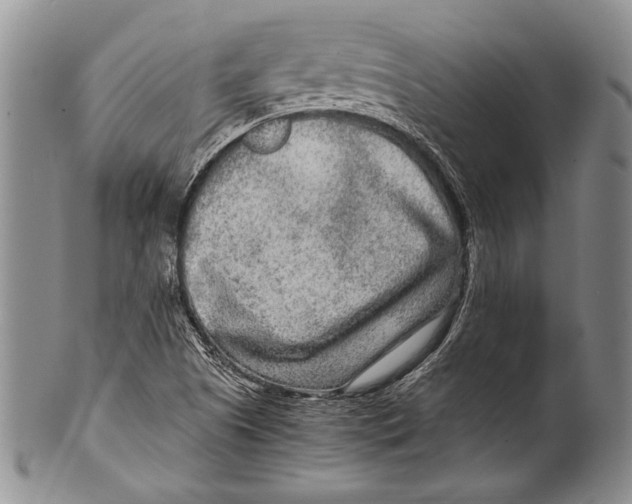 X0000100341505200806261314