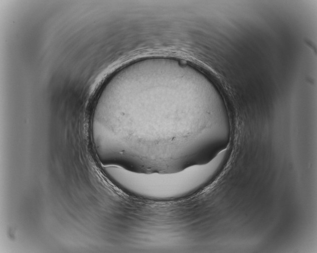 X0000100341506200806261314