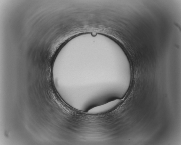 X0000100341507200806261314