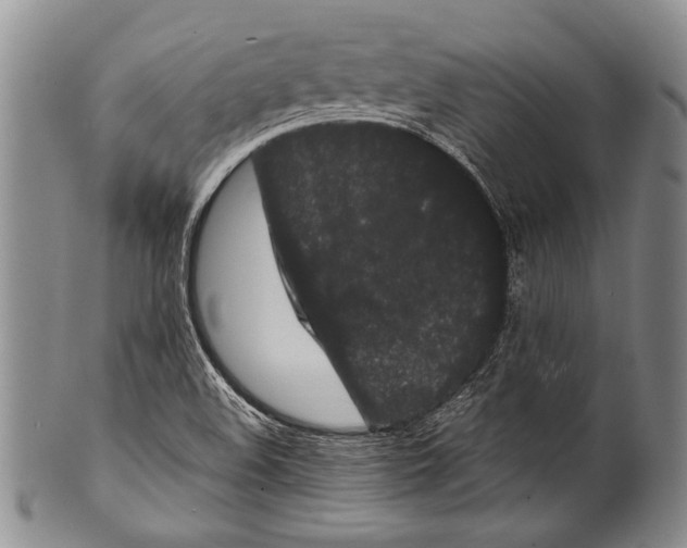 X0000100341508200806261314