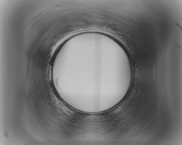 X0000100341510200806261314