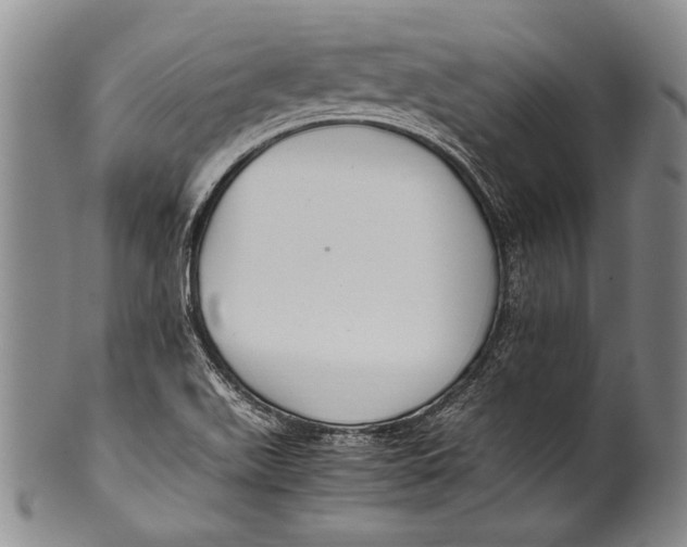 X0000100341511200806261314