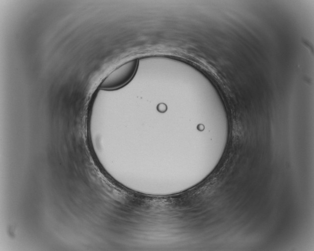 X0000100341512200806261314