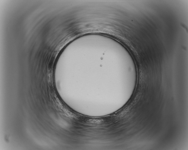 X0000100341513200806261314