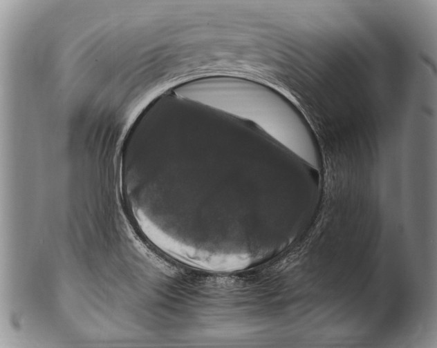 X0000100341515200806261314