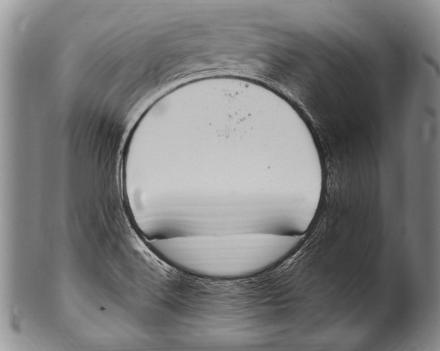 X0000100341516200806261314