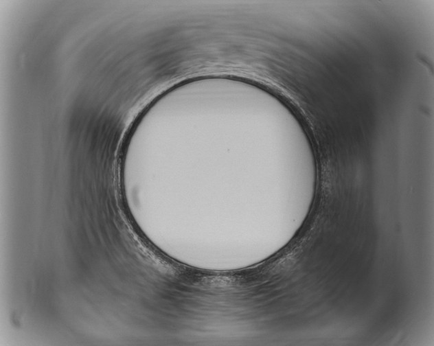 X0000100341517200806261314