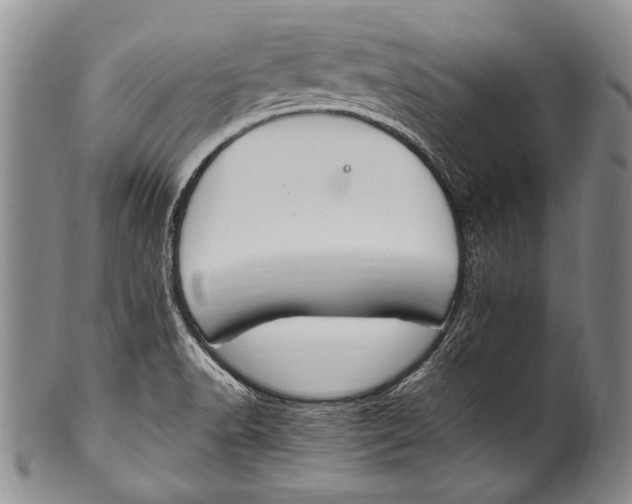 X0000100341518200806261314