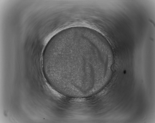 X0000100341519200806261314