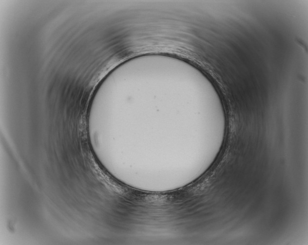 X0000100341521200806261314