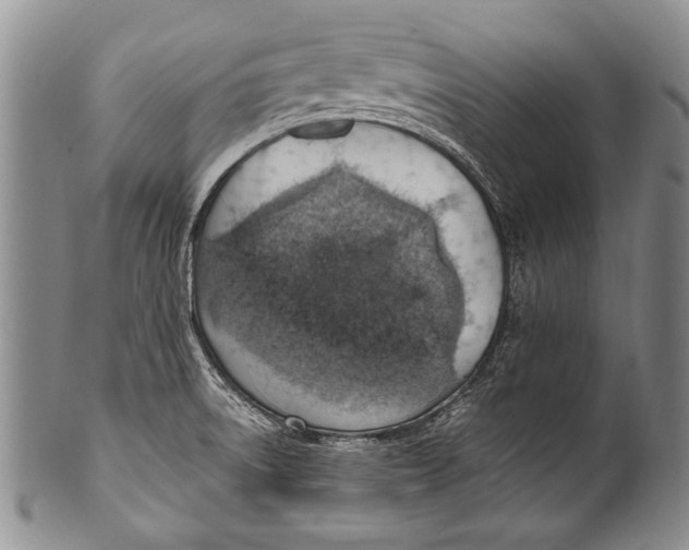 X0000100341522200806261314