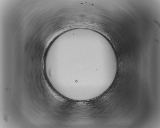 X0000100341523200806261314