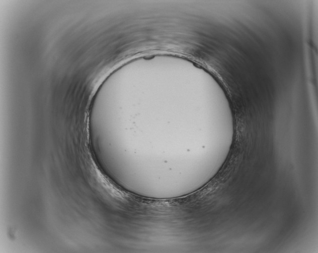 X0000100341524200806261314