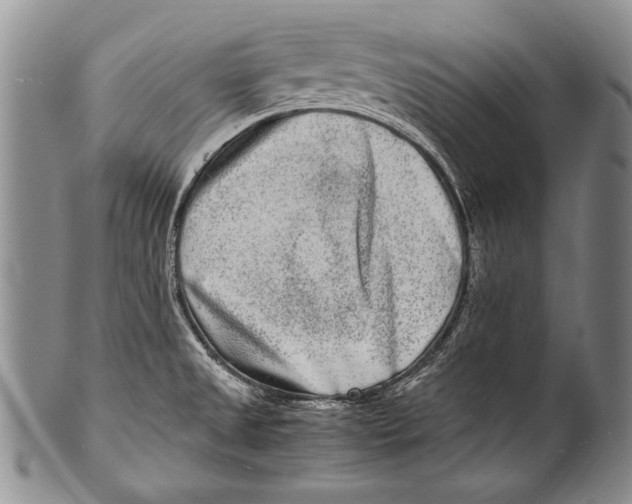 X0000100341525200806261314