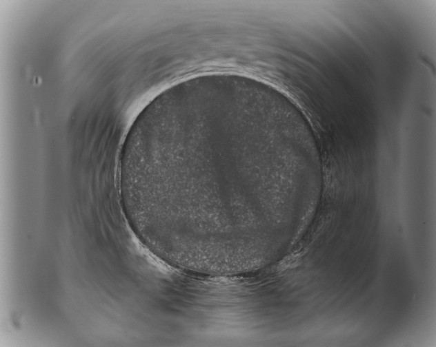 X0000100341527200806261314