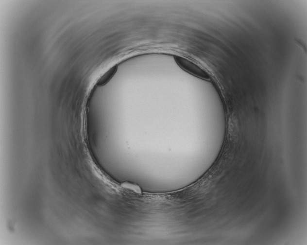 X0000100341528200806261314