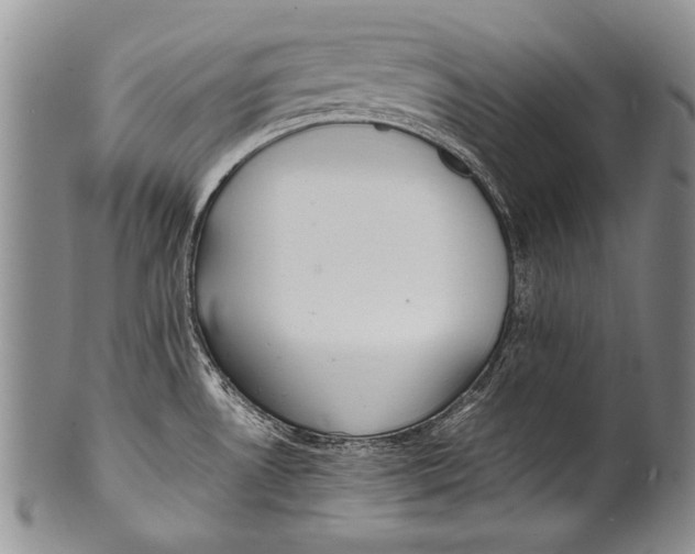 X0000100341530200806261314