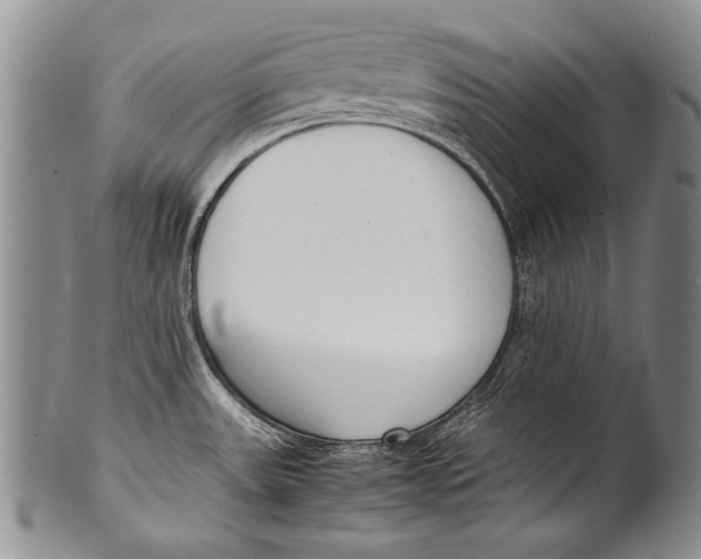 X0000100341531200806261314