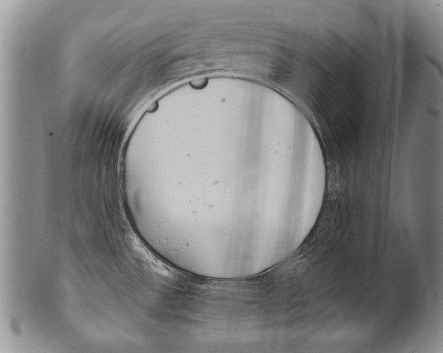 X0000100341532200806261314