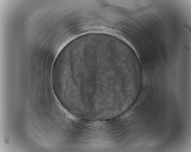 X0000100341533200806261314