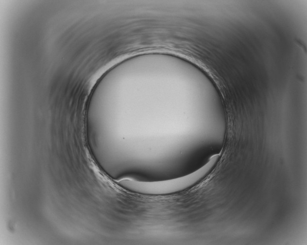 X0000100341534200806261314