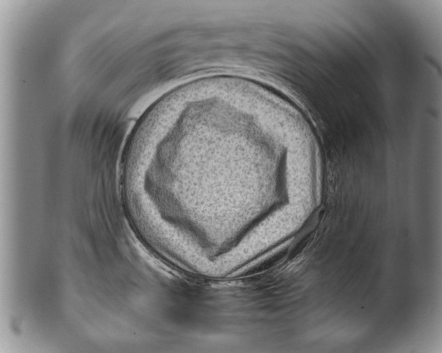 X0000100341535200806261314