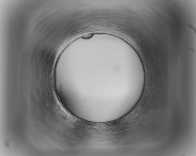 X0000100341536200806261314