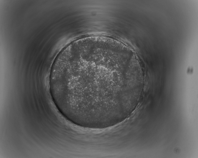 X0000100340002200807031309