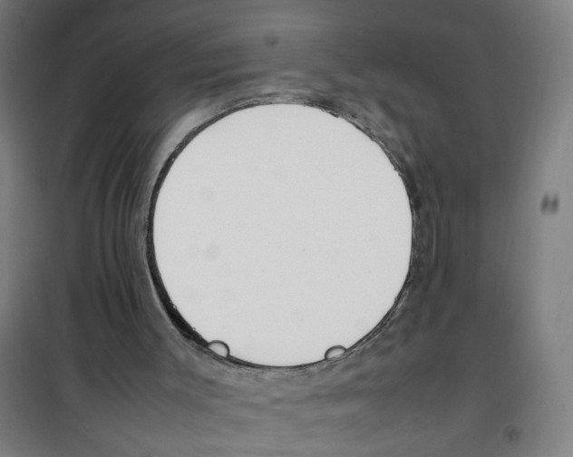 X0000100340003200807031309