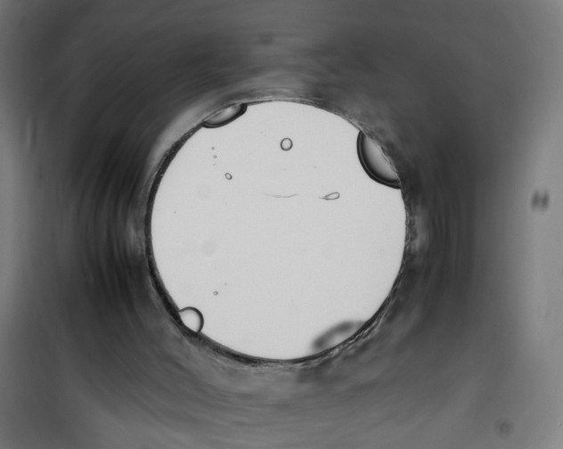 X0000100340004200807031309