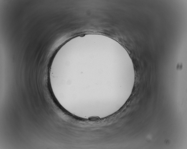 X0000100340005200807031309