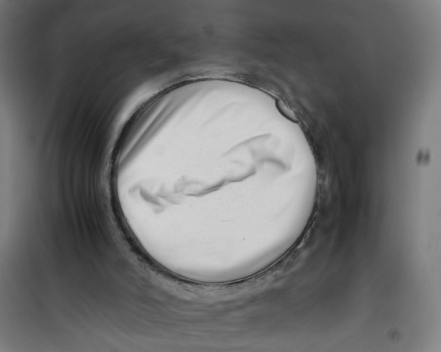 X0000100340006200807031309