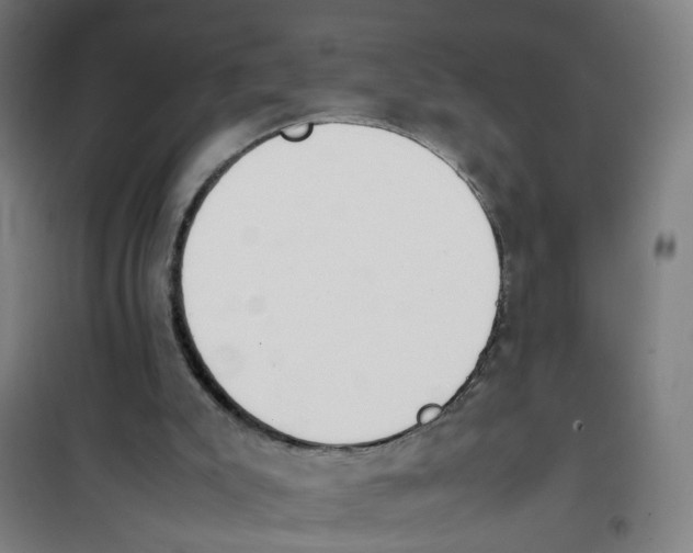 X0000100340007200807031309