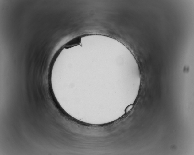 X0000100340008200807031309