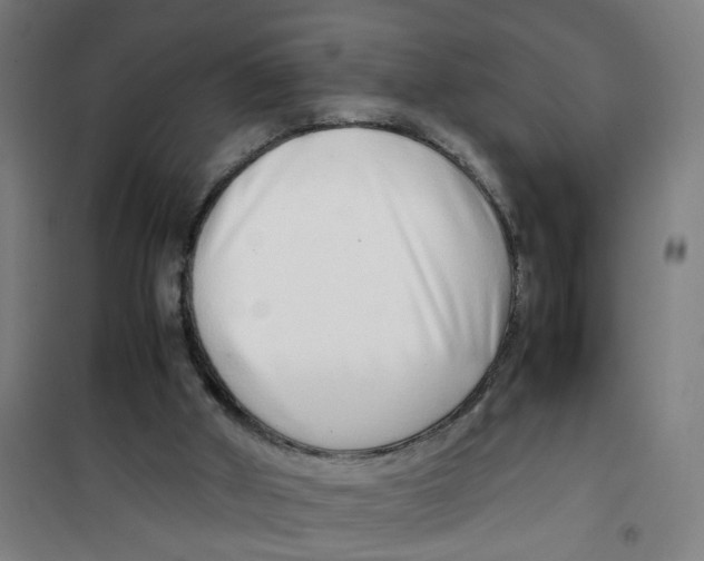 X0000100340010200807031309