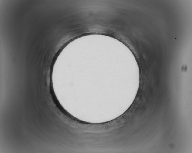 X0000100340011200807031309