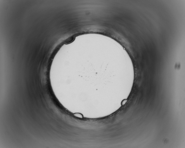 X0000100340012200807031309