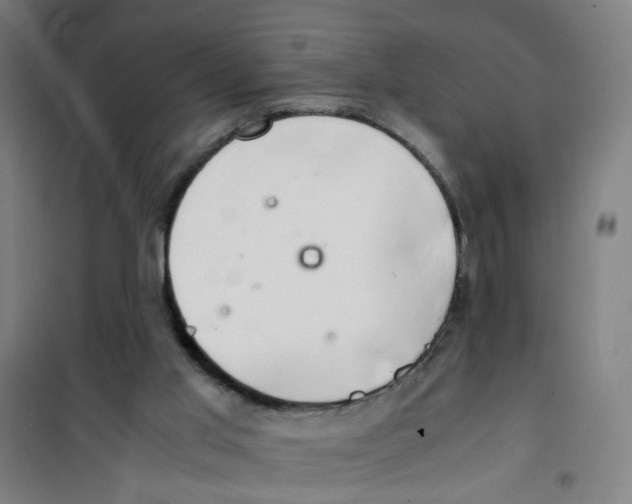 X0000100340013200807031309