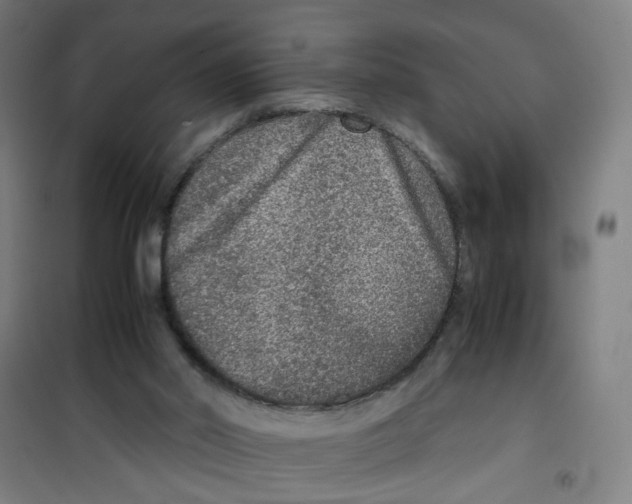 X0000100340014200807031309