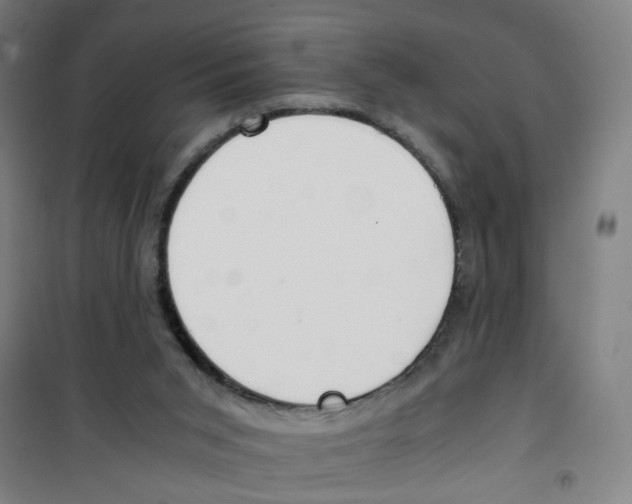 X0000100340015200807031309