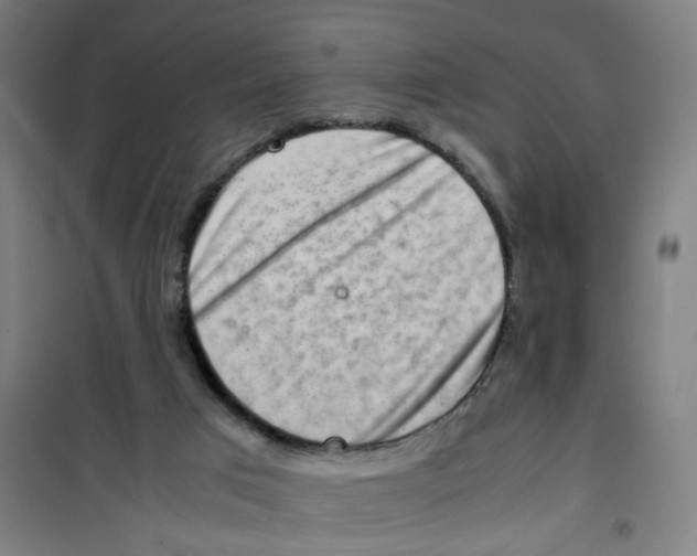 X0000100340017200807031309