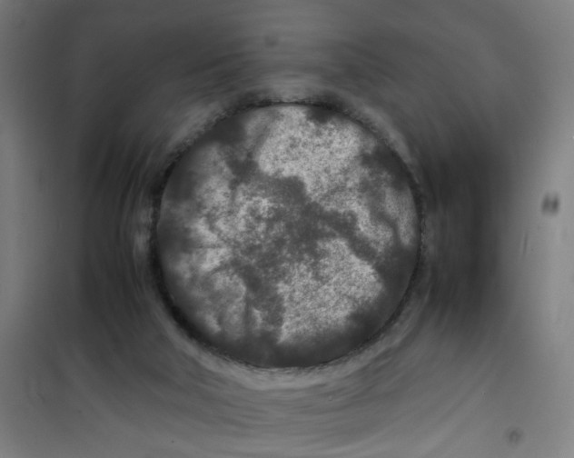 X0000100340018200807031309