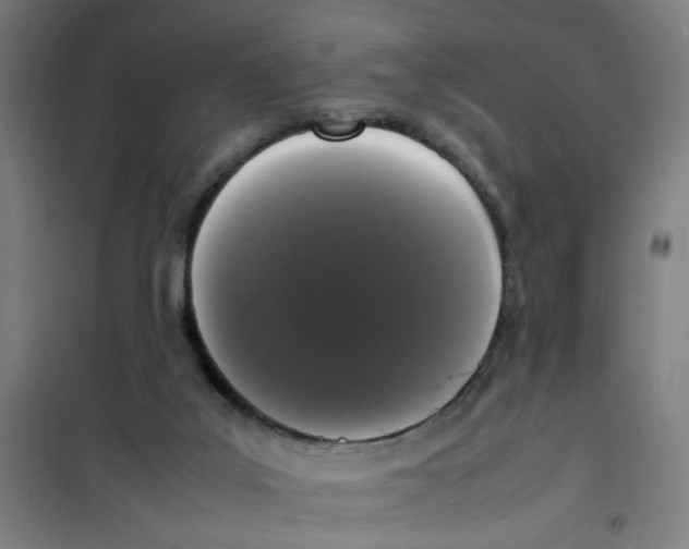 X0000100340019200807031309